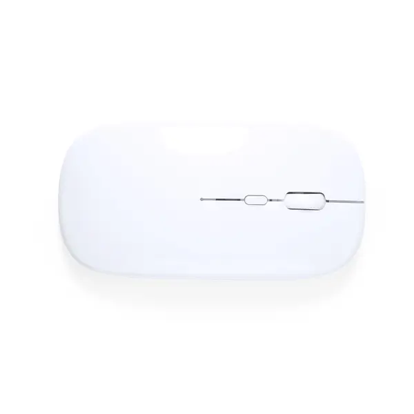 CHESTIR RCS - Mouse