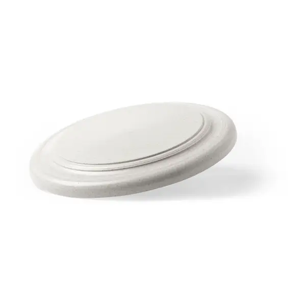 DITUL - Frisbee